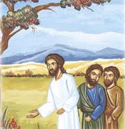 Andrés y Juan siguieron a Jesús