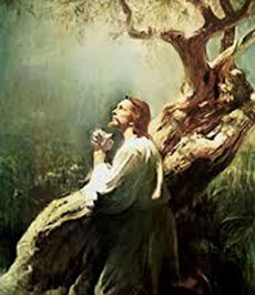 Jesús orando en el huerto