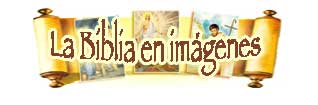 la Biblia en imágenes