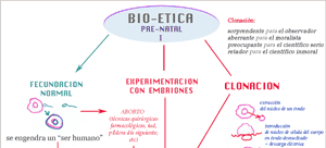 Gráficos explicativos de Bioética