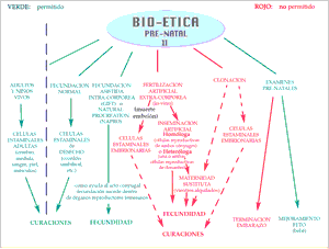 Gráfico Bioética pre-natal 2