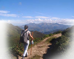 Camino a la montaña