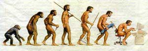 Teoría de la Evolución